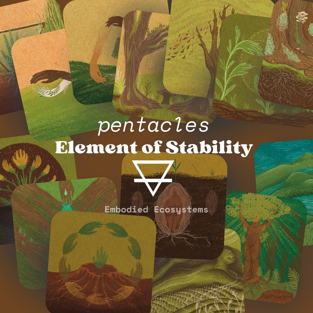Embodied Ecosystems Tarot-Oracle Deck & Guidebook by Rachael Amber