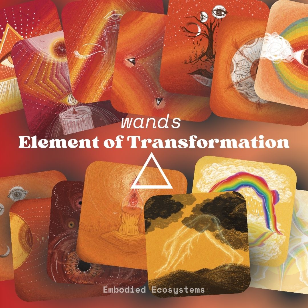 Embodied Ecosystems Tarot-Oracle Deck & Guidebook by Rachael Amber